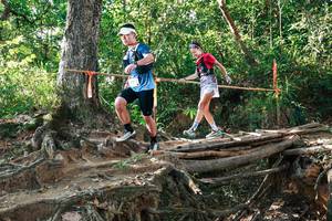 BIB: 
                            <button type="button" onclick="openModal(27553479)" class="btn btn-primary btn-sm float-right btn-popup" data-toggle="modal" data-target=".modal-high-quality">
                        <i class="fas fa-shopping-cart"></i> Add to Cart
                    </button>
                                            <button type="button" onclick="isThisMe(27553479, true)" class="btn btn-success btn-sm float-right btn-popup btn-isme hidden" data-toggle="tooltip" data-placement="bottom" title="นี่คือรูปของคุณใช่ไหม คลิกที่นี่เพื่อเอาเข้าอัลบั้ม">
                        <i class="fas fa-plus"></i> Add to album
                    </button>
                    <button type="button" onclick="isThisMe(27553479, false)" class="btn btn-warning btn-sm float-right btn-popup btn-isnotme hidden">
                        <i class="fas fa-ban"></i> Remove from album
                    </button>